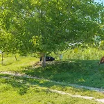 3 Bedroom In Plovanija