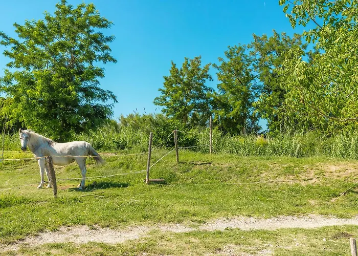 3 Bedroom In Plovanija