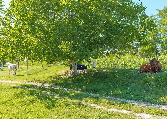 3 Bedroom In Plovanija